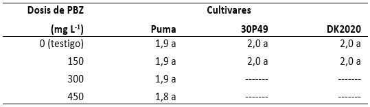 Altura (m) de planta de tres cultivares de maíz tratado con PBZ en etapas de cuatro, seis y ocho hojas verdaderas en el cultivar Puma, y en la de cuatro para 30P49 y DK2020. Ciclo agrícola 2009-2010. Promedios con letras iguales en la misma columna son iguales (Tukey ≤ 0,05).