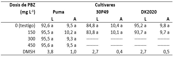 Longitud (L) y ancho (A) (cm) de hojas en tres cultivares de maíz. Ciclo agrícola 2009-2010. Promedios con letras iguales en la misma columna son iguales (Tukey ≤ 0,05).