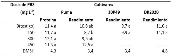 Contenido de proteína (%) del grano del cultivar Puma y rendimiento (t ha-1) de grano de tres cultivares de maíz. Ciclo agrícola 2009-2010. Promedios con letras iguales en la misma columna son iguales (Tukey ≤ 0,05).