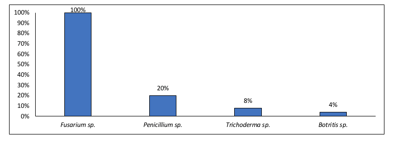 fig4