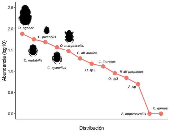 figura 3