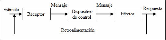 Diagrama de retroalimentación. (Tomado de Reynoso, 2006).
